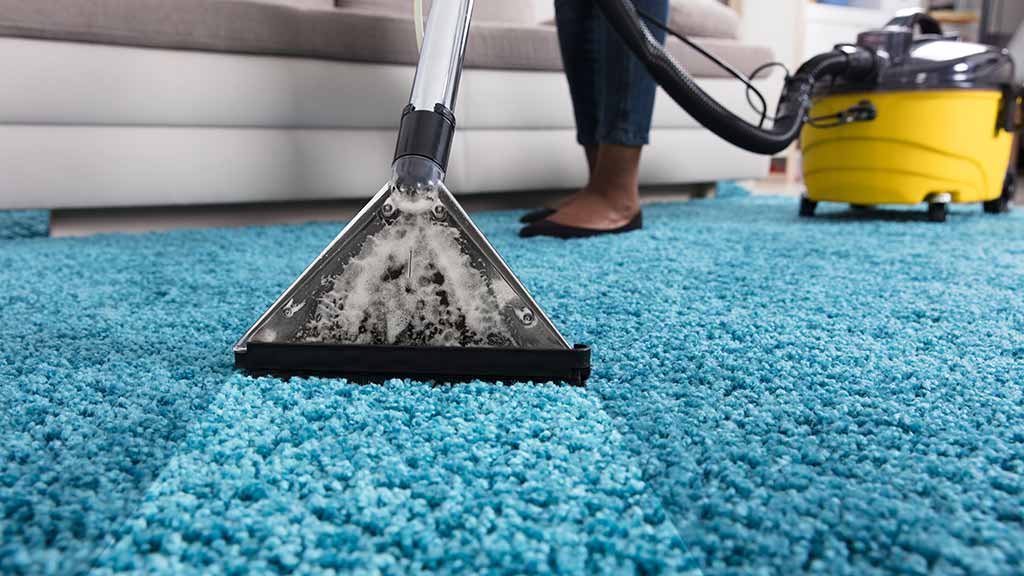 Bernardo Pro Carpet Cleaning